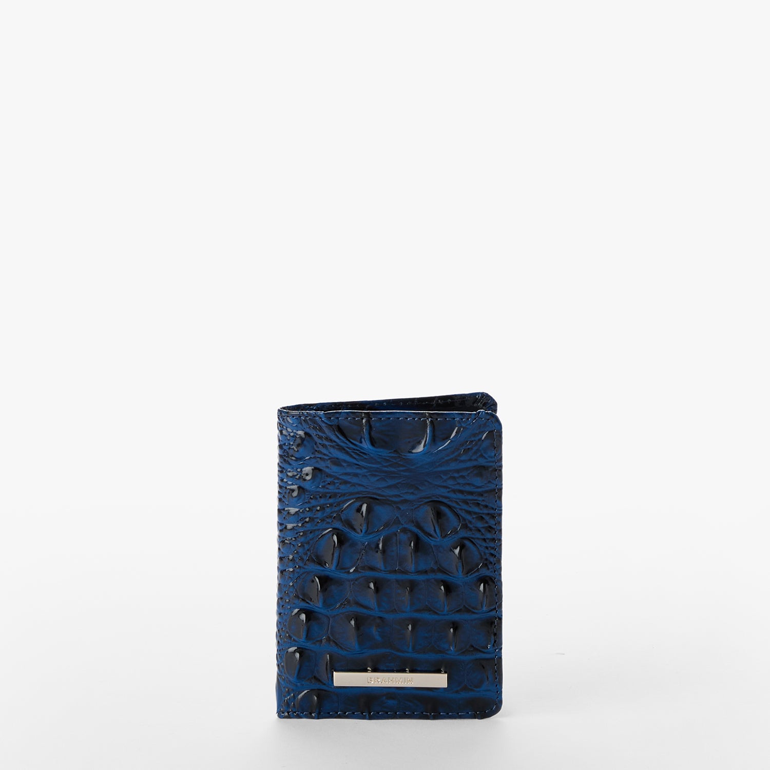Passport Wallet